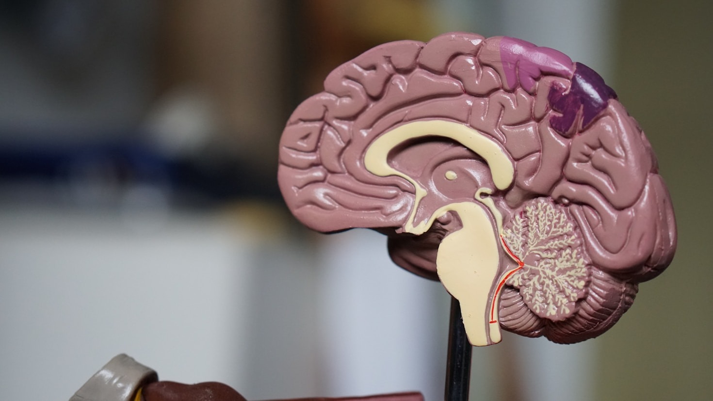 Unlocking The Connection Between Mind And New Body